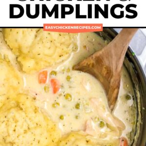 chicken and dumplings in a skillet with the text best chicken and dumplings.