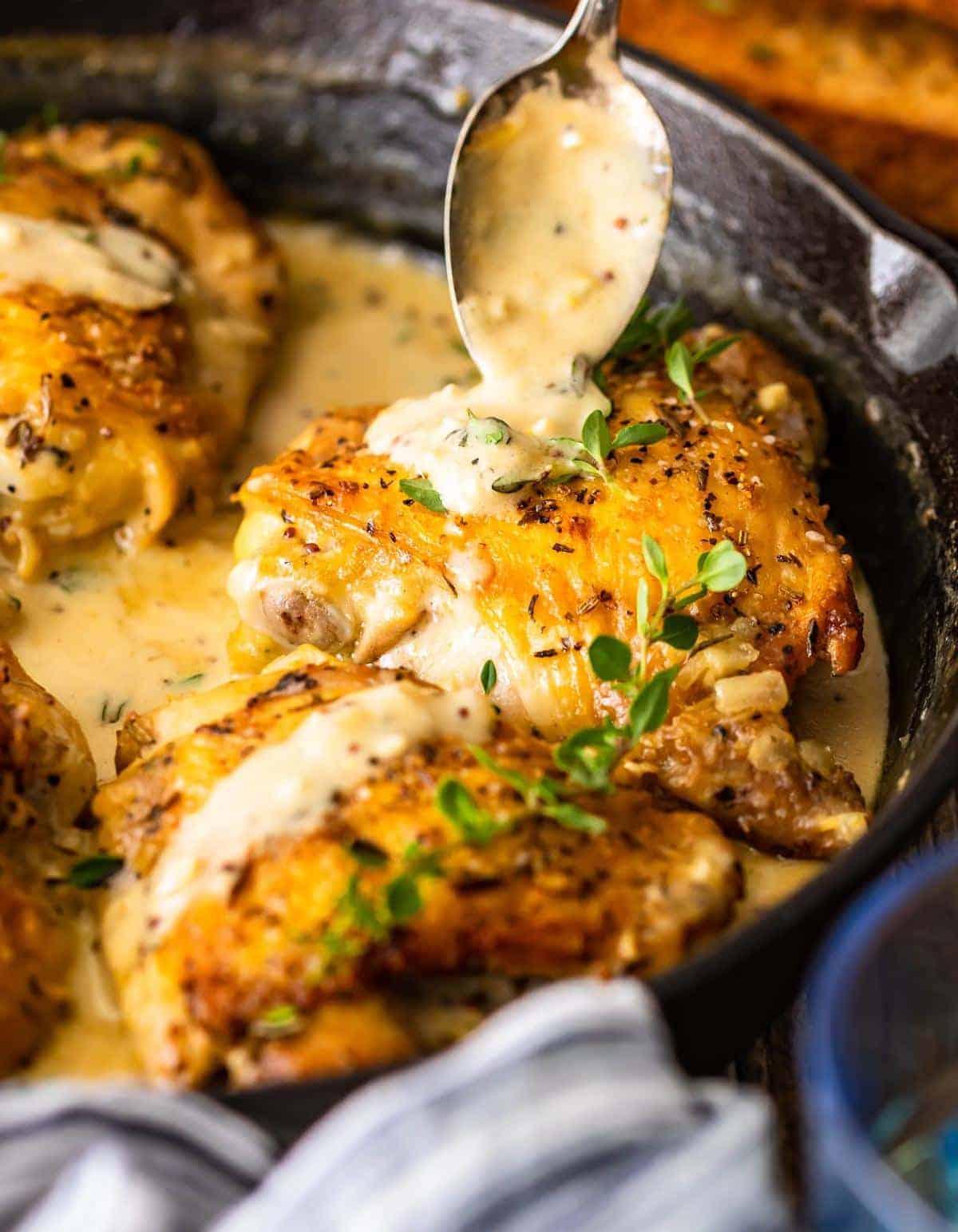 Chicken in White Wine Sauce drizzled with dijon sauce