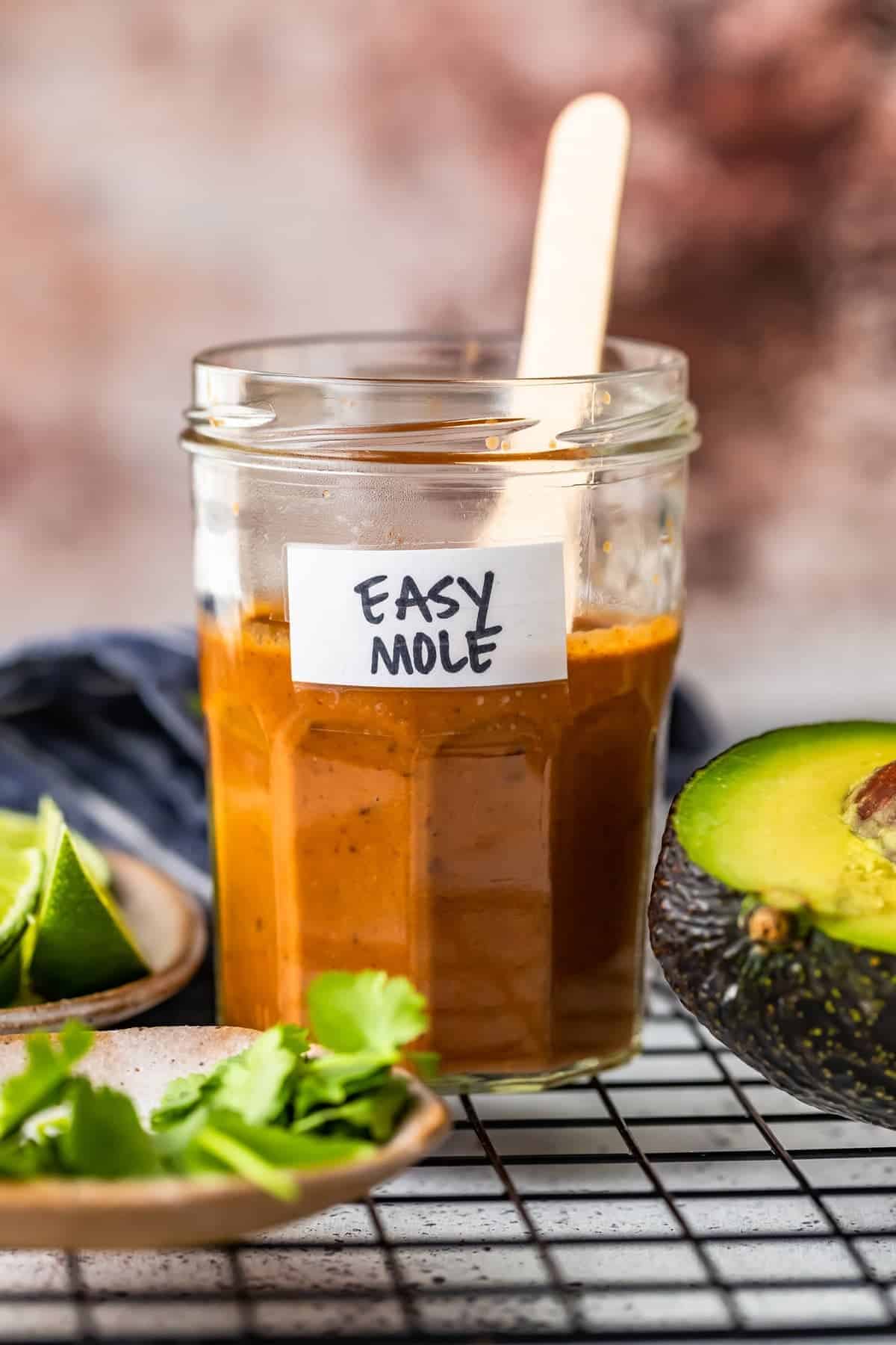 easy mole sauce in a jar - how to make in a blender step by step