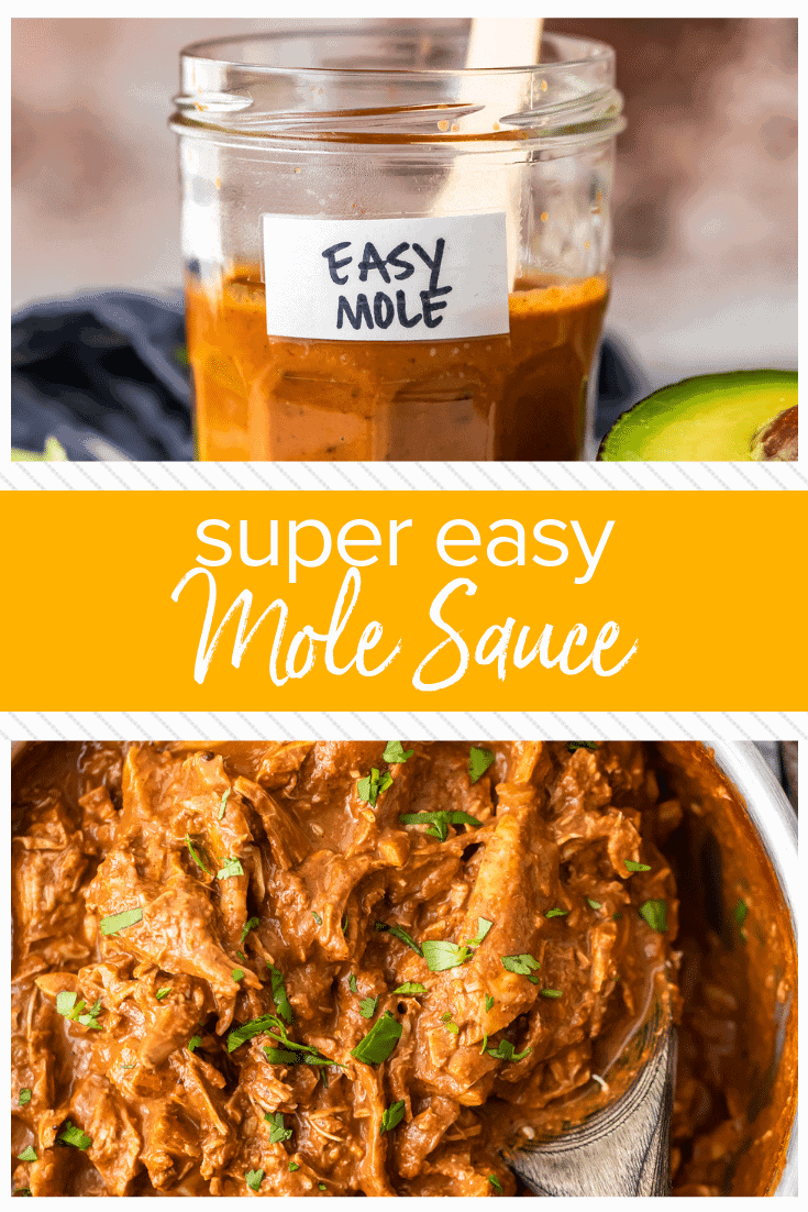 Easy Mole Sauce Recipe - How to Make Mole - (VIDEO!!!)