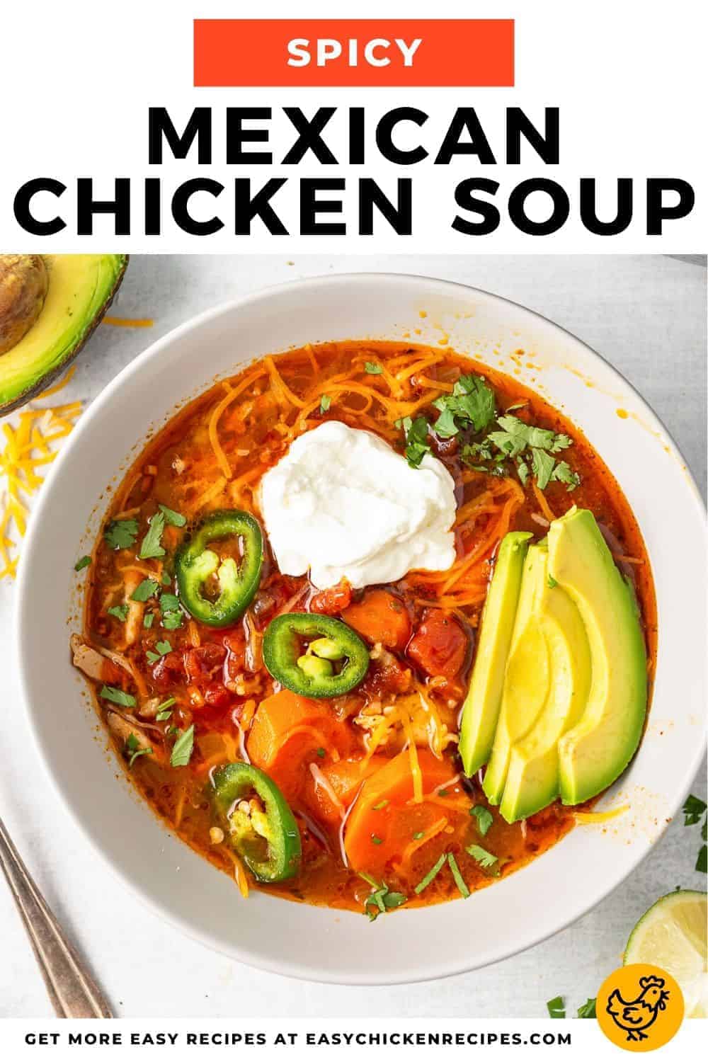 Mexican Chicken Soup (Spicy) - Easy Chicken Recipes (VIDEO!!)