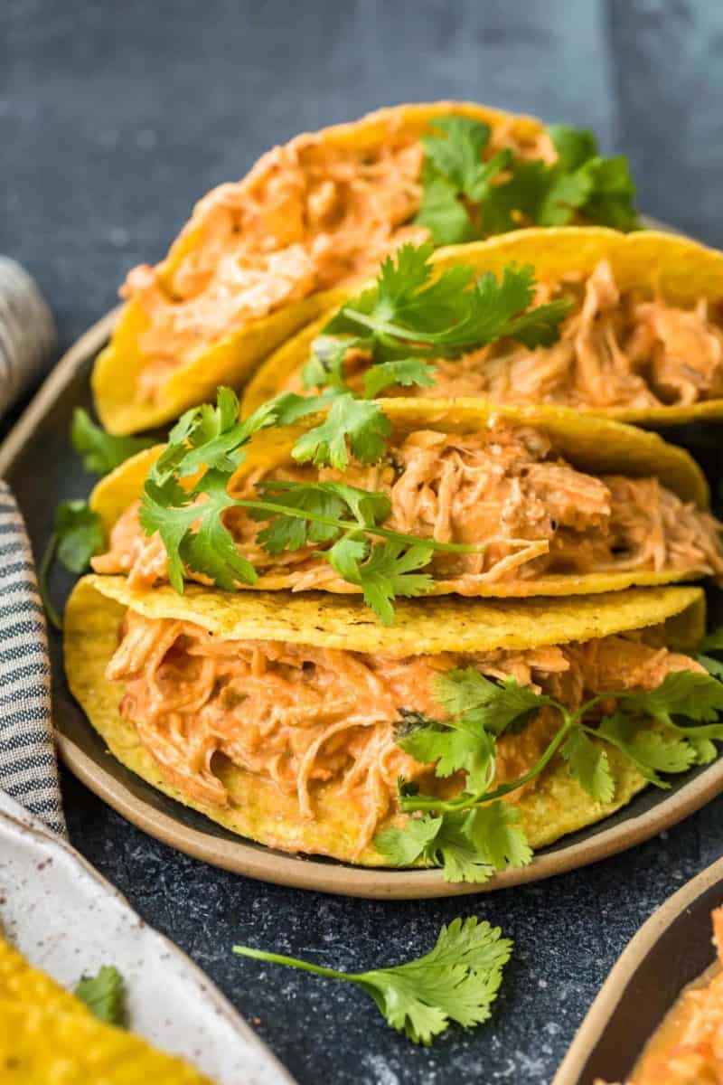Tacos filled with creamy shredded chicken.