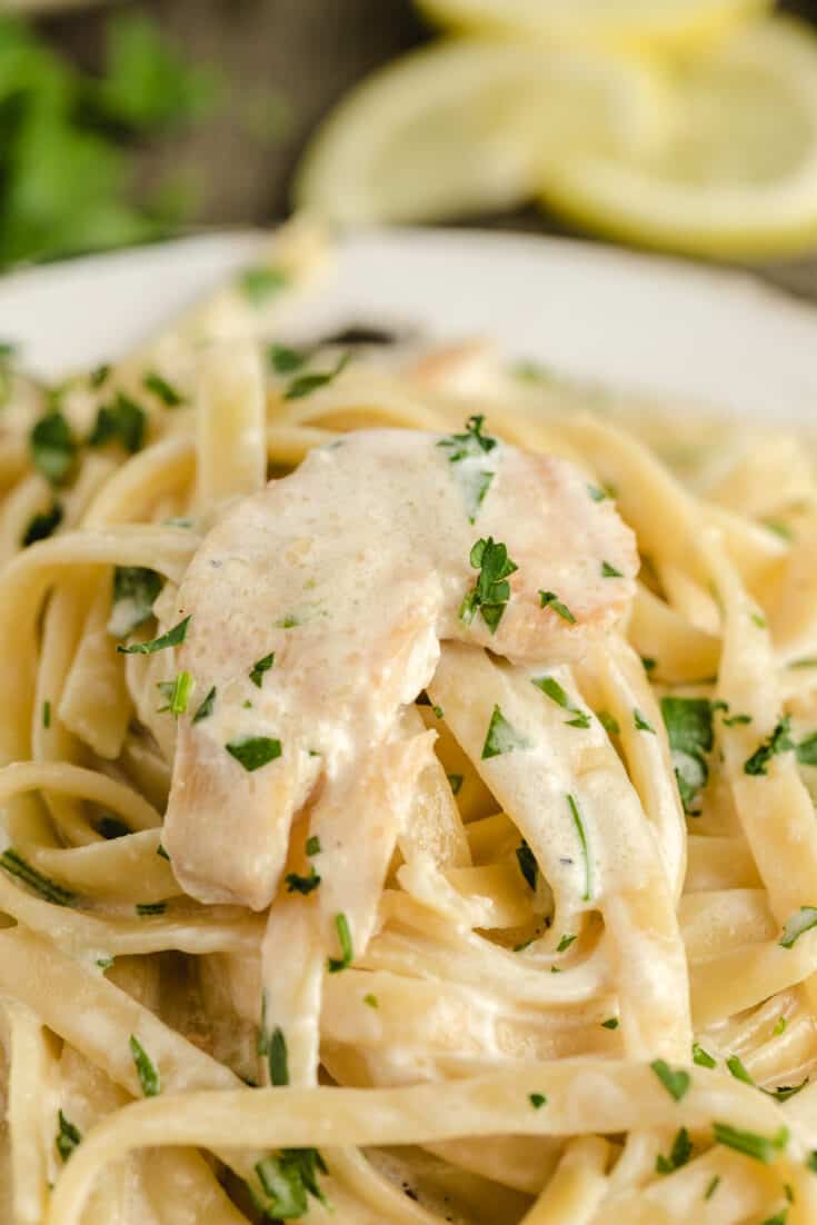 chicken alfredo recipe