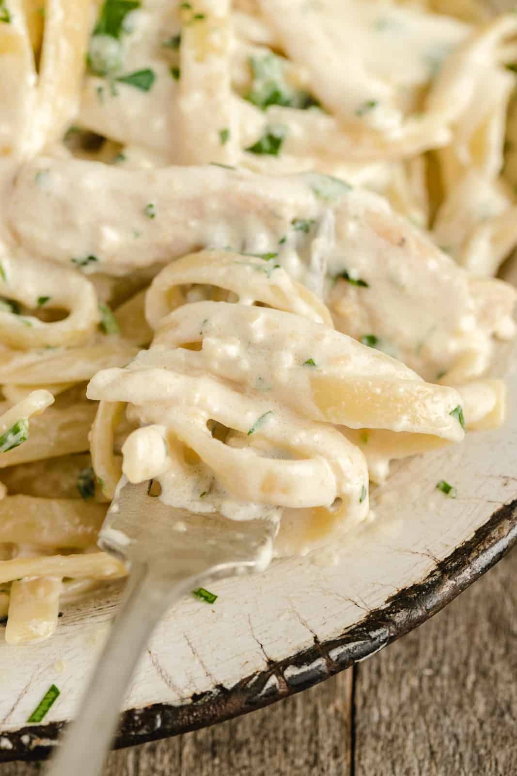 chicken alfredo on a fork up close picture
