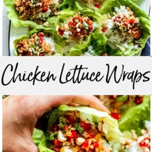 Chicken lettuce wraps on a plate.