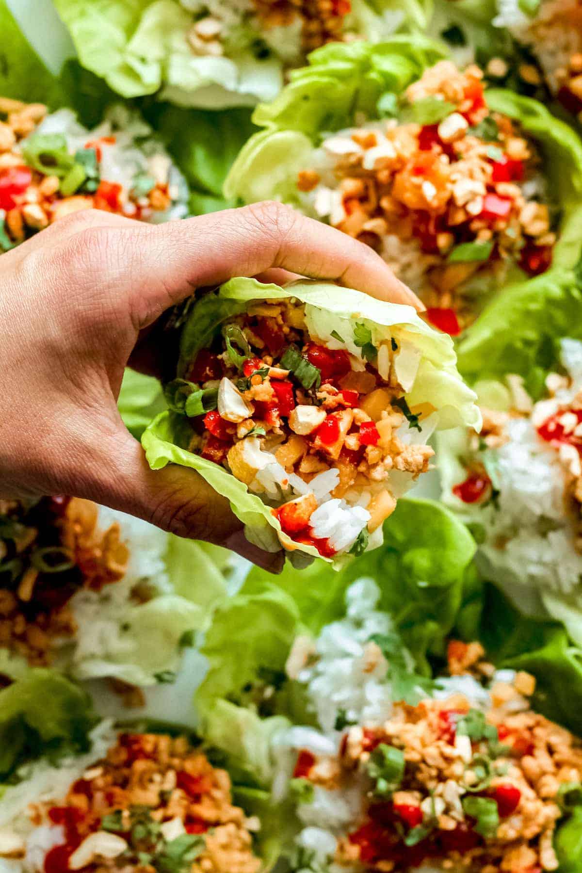 A chicken lettuce wrap being held towards camera