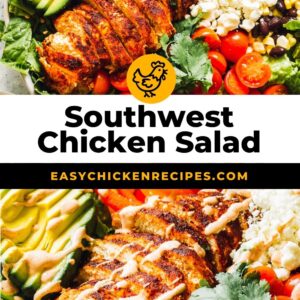 southwest chicken salad pinterest