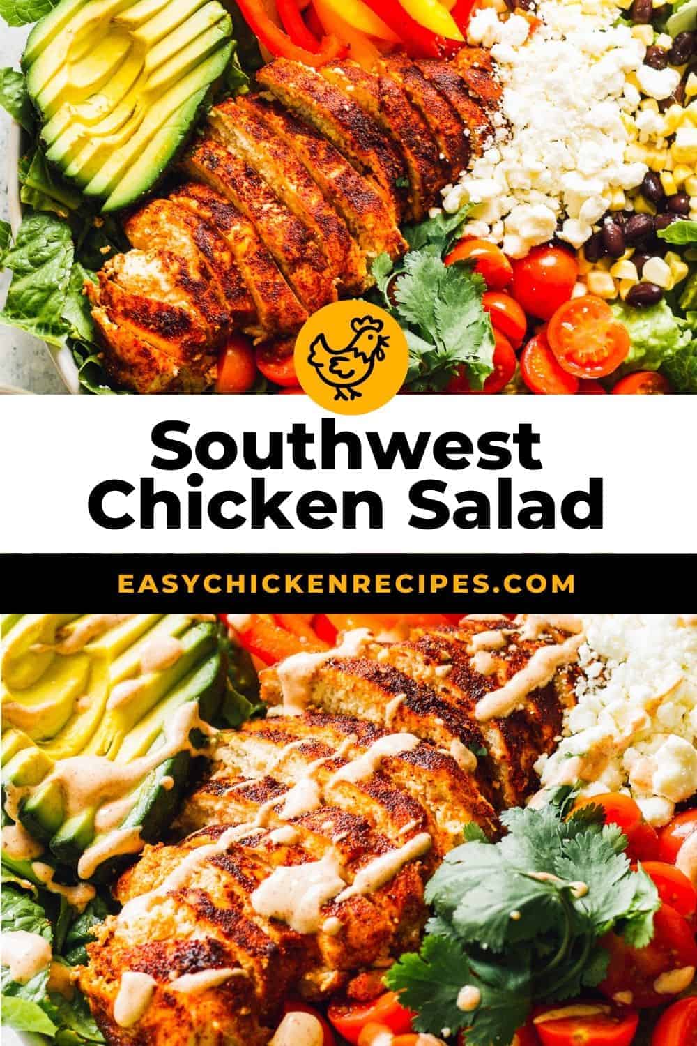Southwest Chicken Salad Recipe - Easy Chicken Recipes (VIDEO!!)