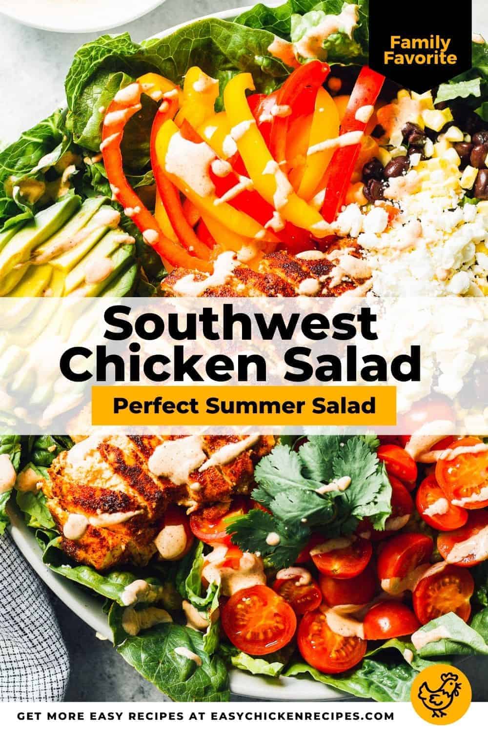 southwest-chicken-salad-recipe-easy-chicken-recipes-video