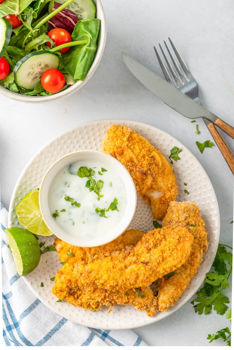 chicken strips with sauce on plate