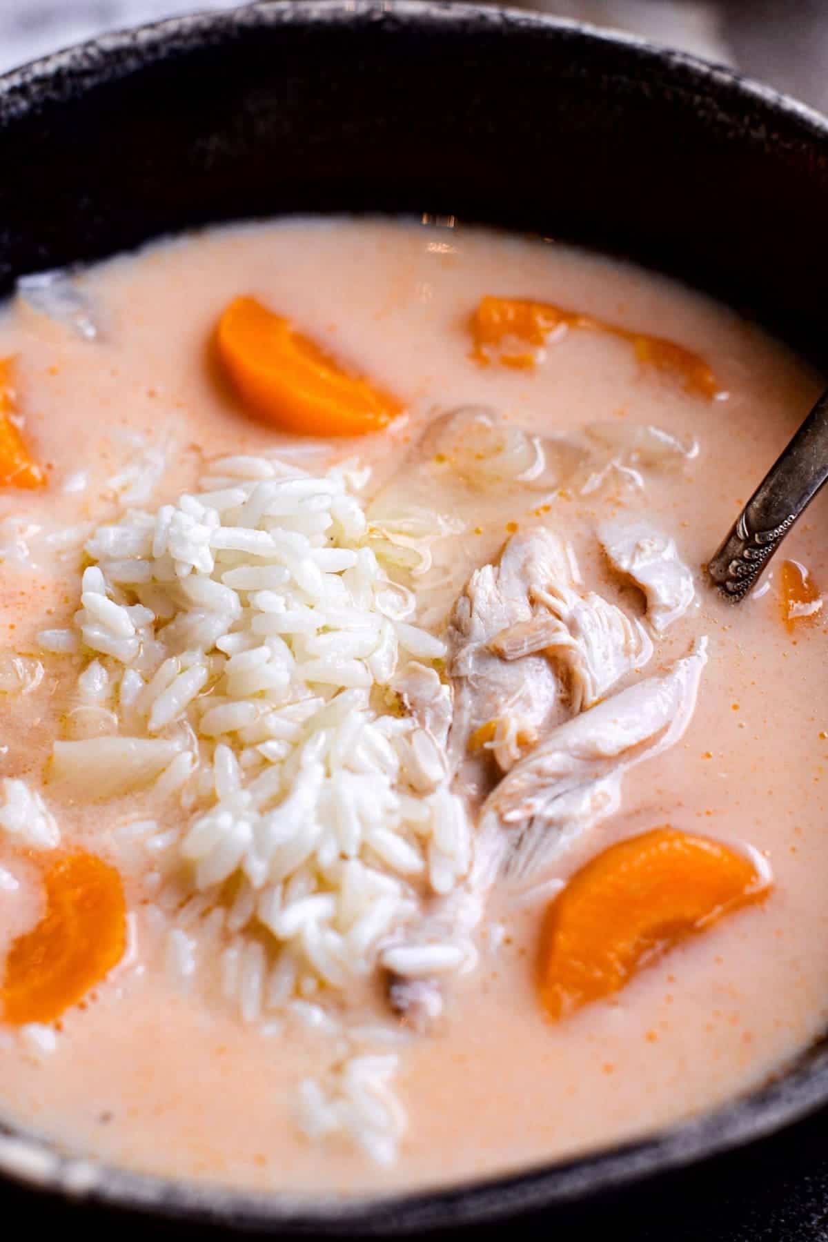 Close up of chicken and rice soup