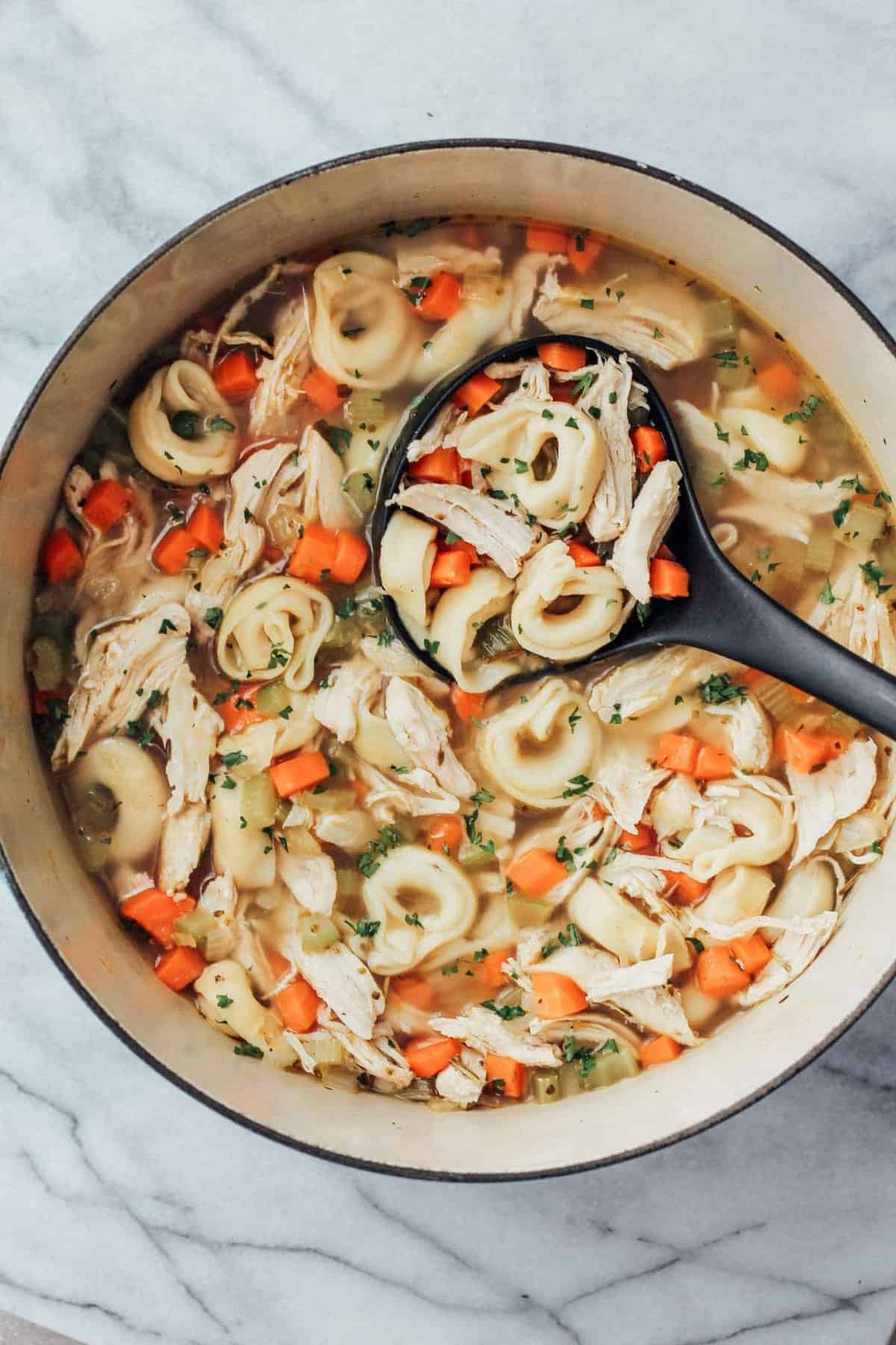 a bowl of chicken tortellini soup with noodles and carrots.