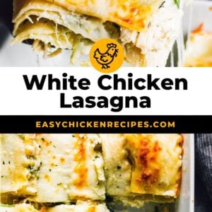 white chicken lasagna pinterest