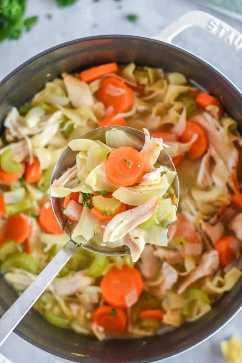 best chicken noodle soup in ladle