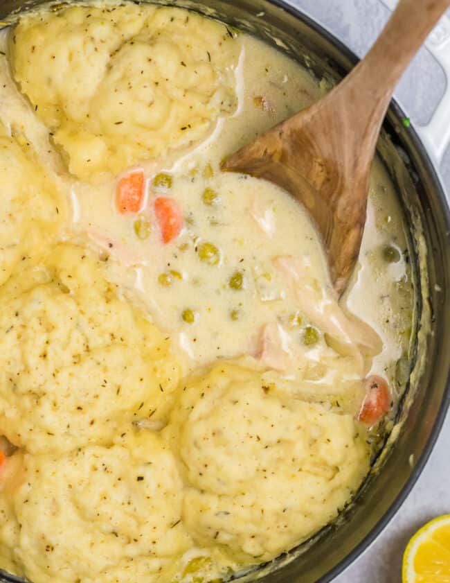 chicken and dumplings with a wooden spoon