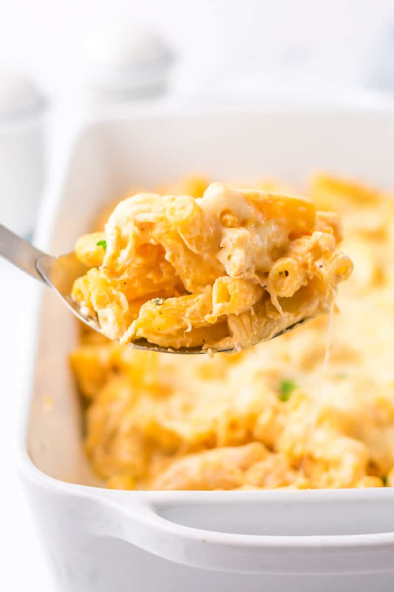 spoonful of chicken baked ziti