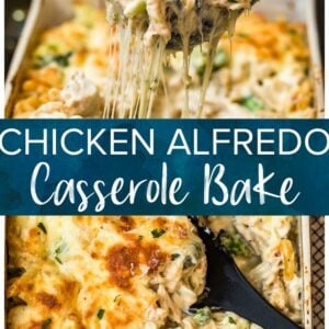 Chicken Alfredo Casserole.