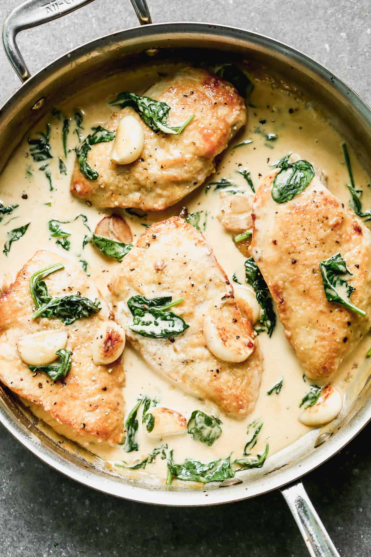 Creamy Garlic Chicken - Easy Chicken Recipes