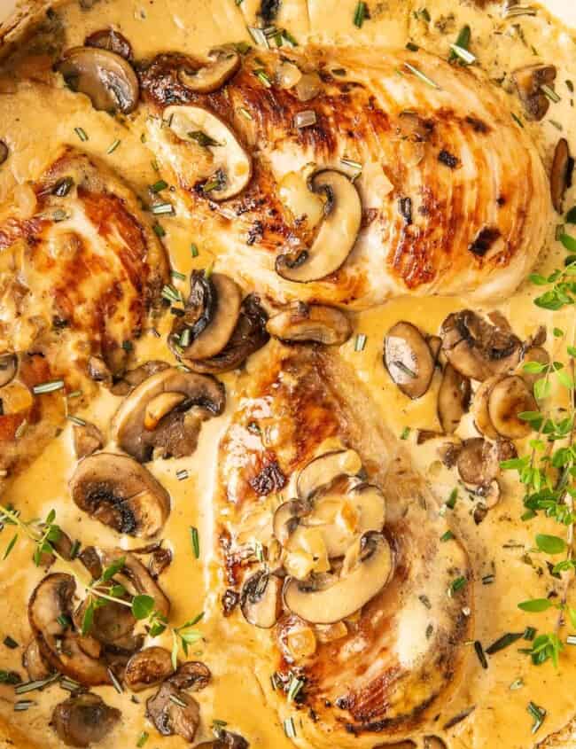 creamy mushroom chicken in pot