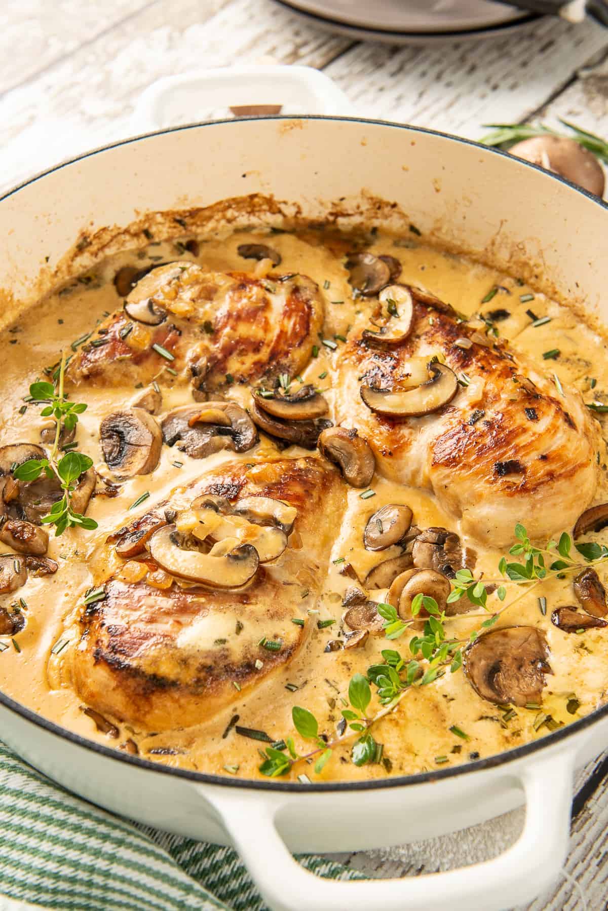 Creamy Mushroom Chicken - Easy Chicken Recipes