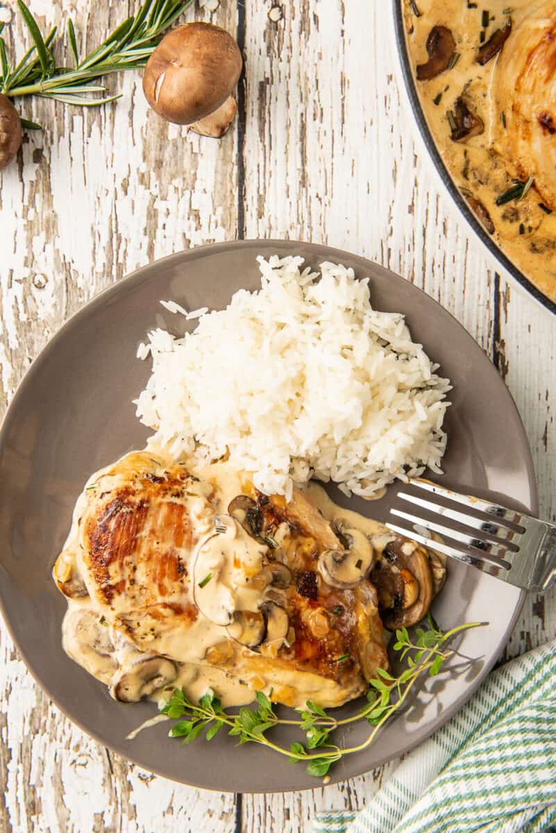 chicken in mushroom cream sauce with rice on plate