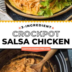 Crockpot Salsa Chicken - Only 3 Ingredients (For Tacos and More) VIDEO