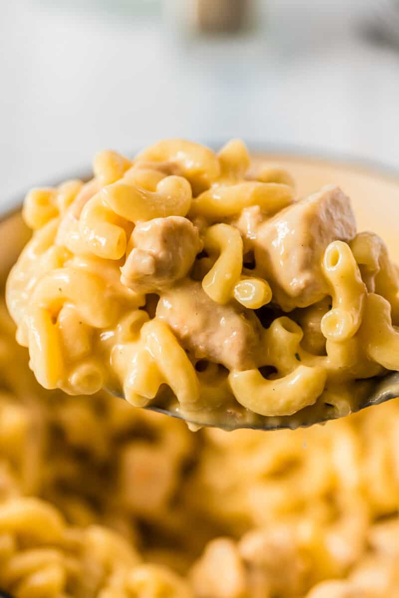 spoonful of macaroni and cheese with chicken