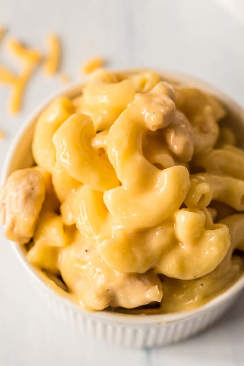 small white bowl filled with chicken mac and cheese