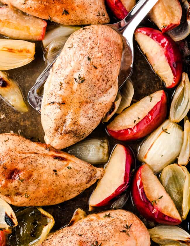 chicken breasts on sheet pan with apple slices