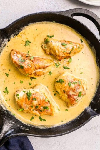 Dijon Mustard Chicken Recipe - Easy Chicken Recipes