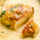 up close image of mustard chicken in cream sauce in skillet
