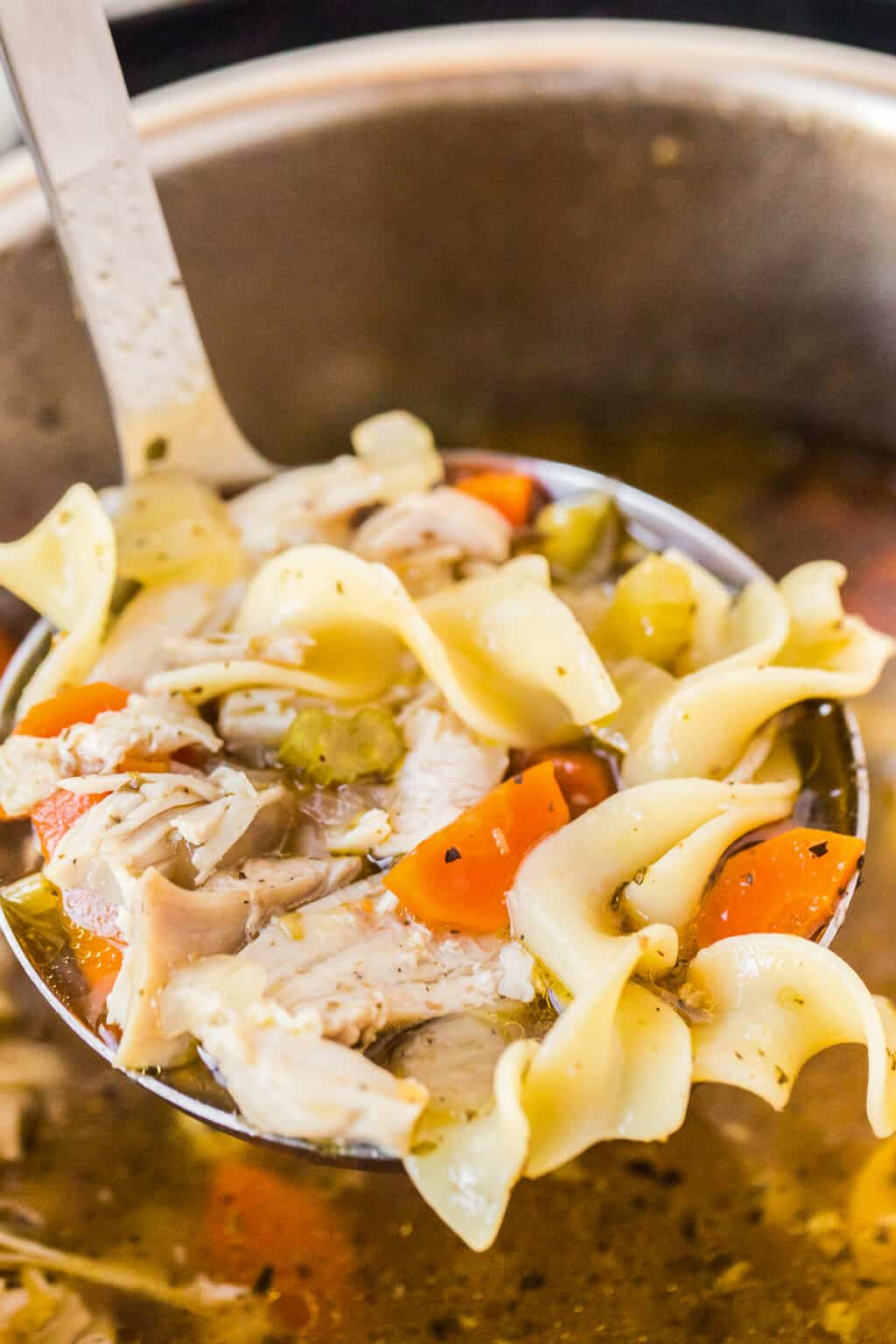 Instant Pot Chicken Noodle Soup - Easy Chicken Recipes
