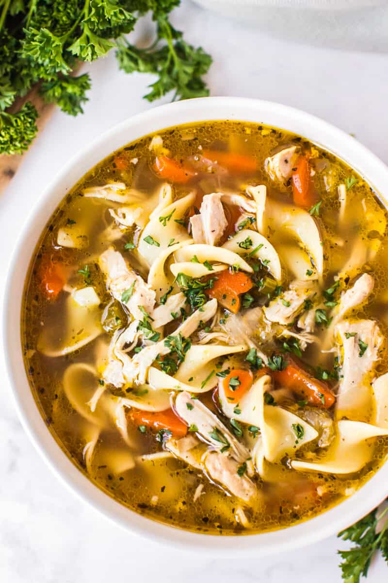 Instant Pot Chicken Noodle Soup   Easy Chicken Recipes