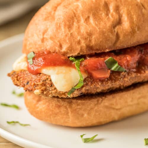 Breaded chicken parmesan sandwich recipe