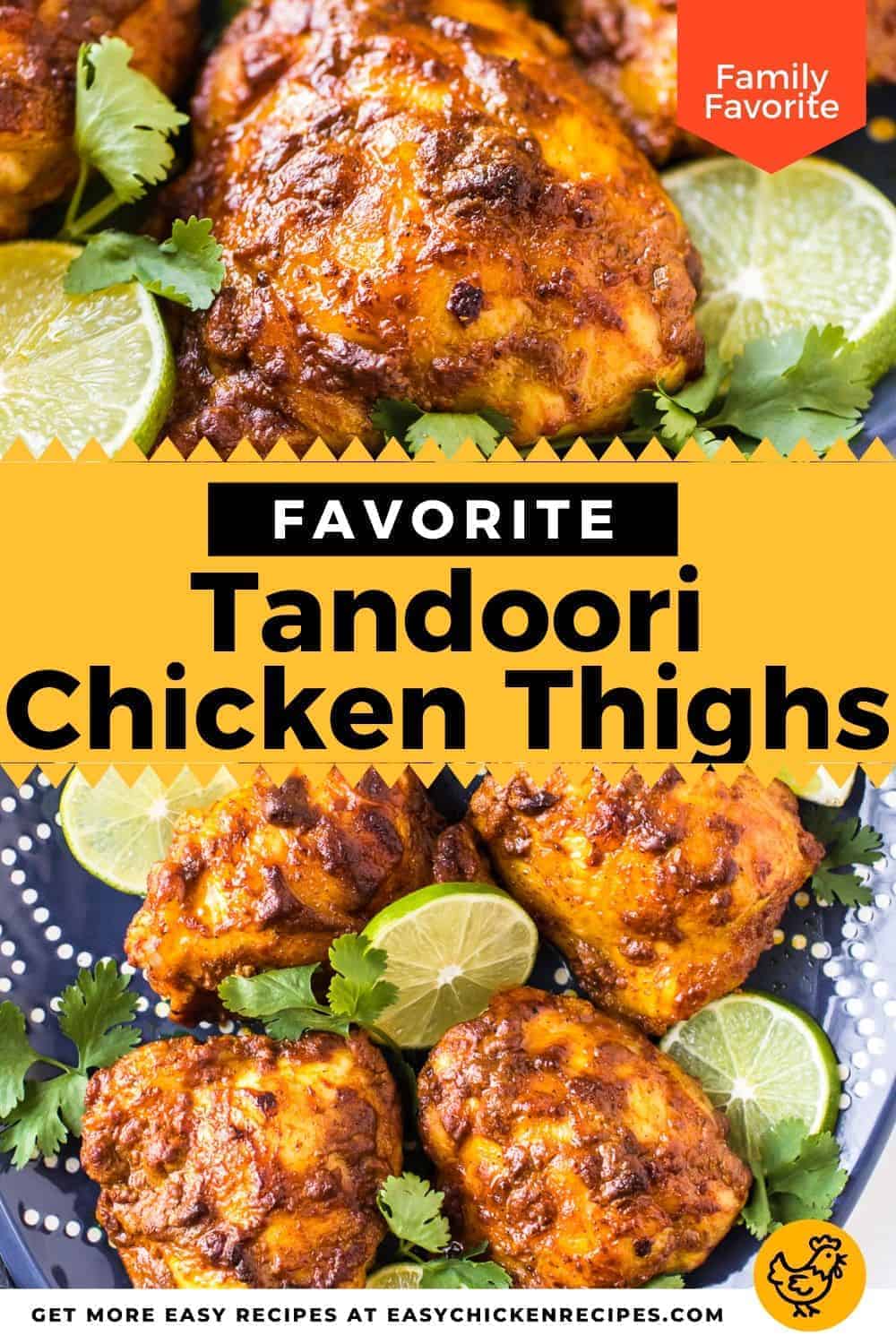Tandoori Chicken Thighs - Easy Chicken Recipes