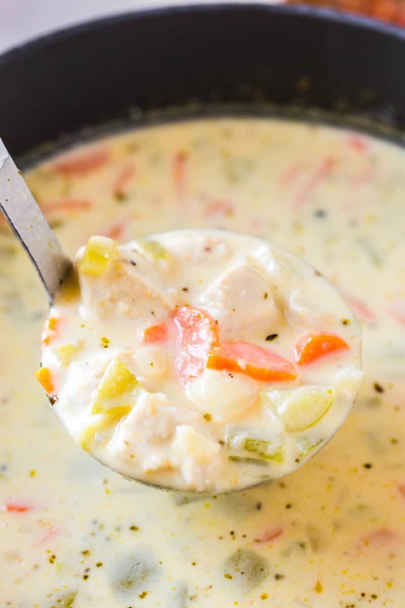 ladle lifting up cheesy chicken chowder