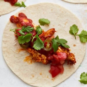 chicken strips topped with tomatoes, jalapenos, and cilantro on a tortilla.