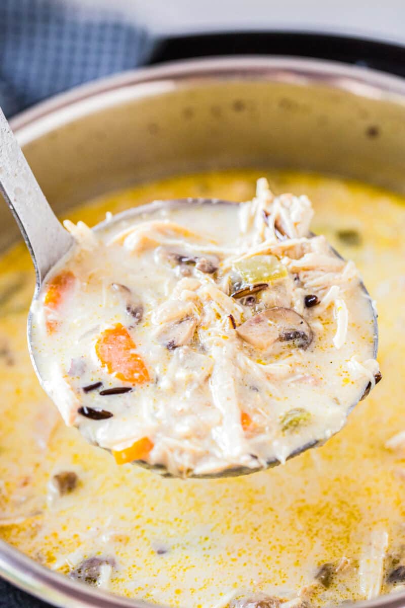 ladle of chicken wild rice soup