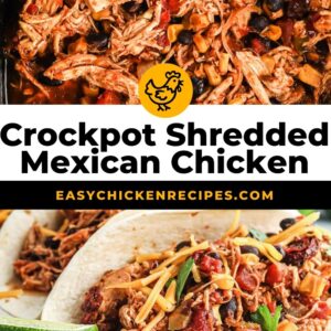 mexican shredded chicken tacos pinterest
