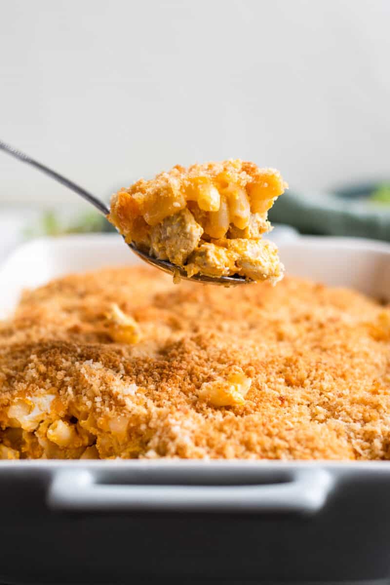 spoonful of chicken mac and cheese casserole