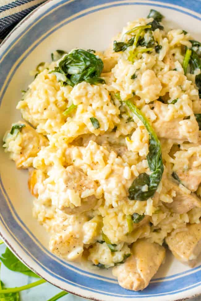 Garlic Chicken and Rice (One Pot) - Easy Chicken Recipes