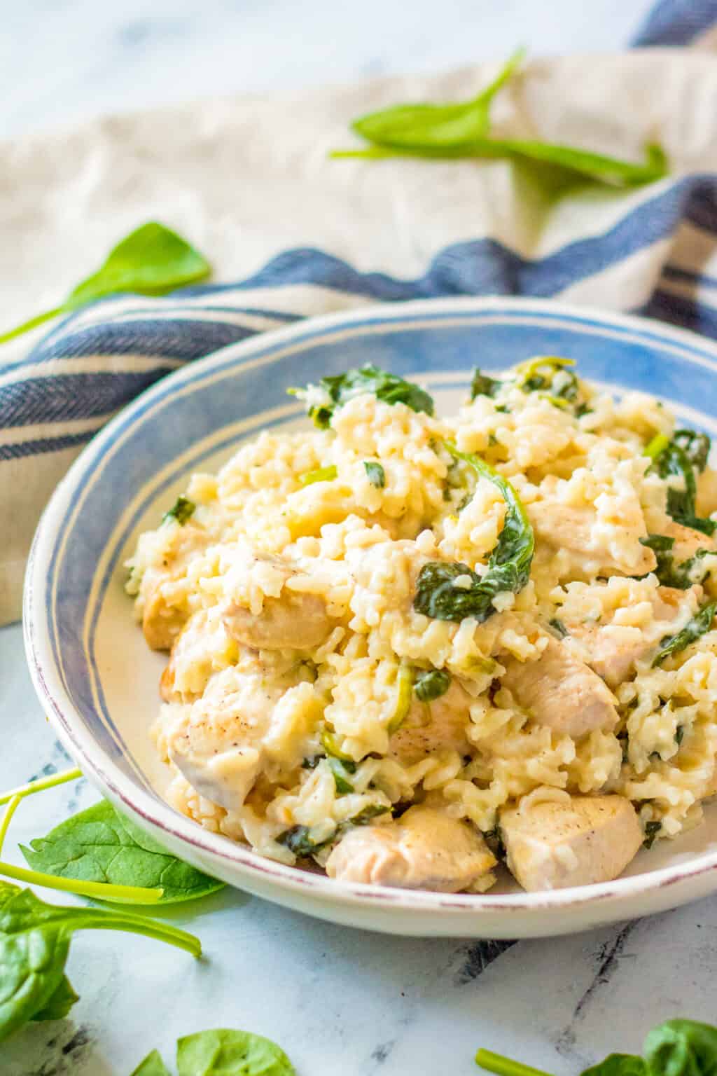 Garlic Chicken and Rice (One Pot) - Easy Chicken Recipes
