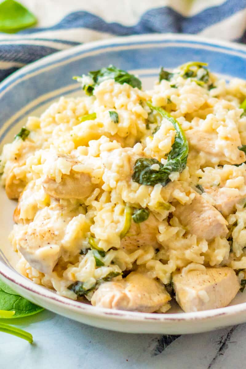one pot chicken and rice on plate