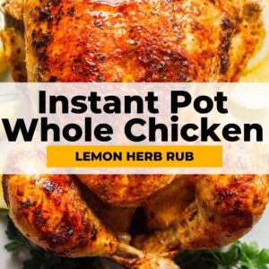 instant pot whole chicken pinterest