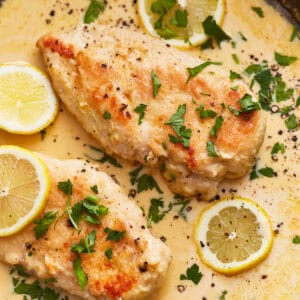 closeup view of creamy lemon chicken in a skillet with lemon slices and parsley.