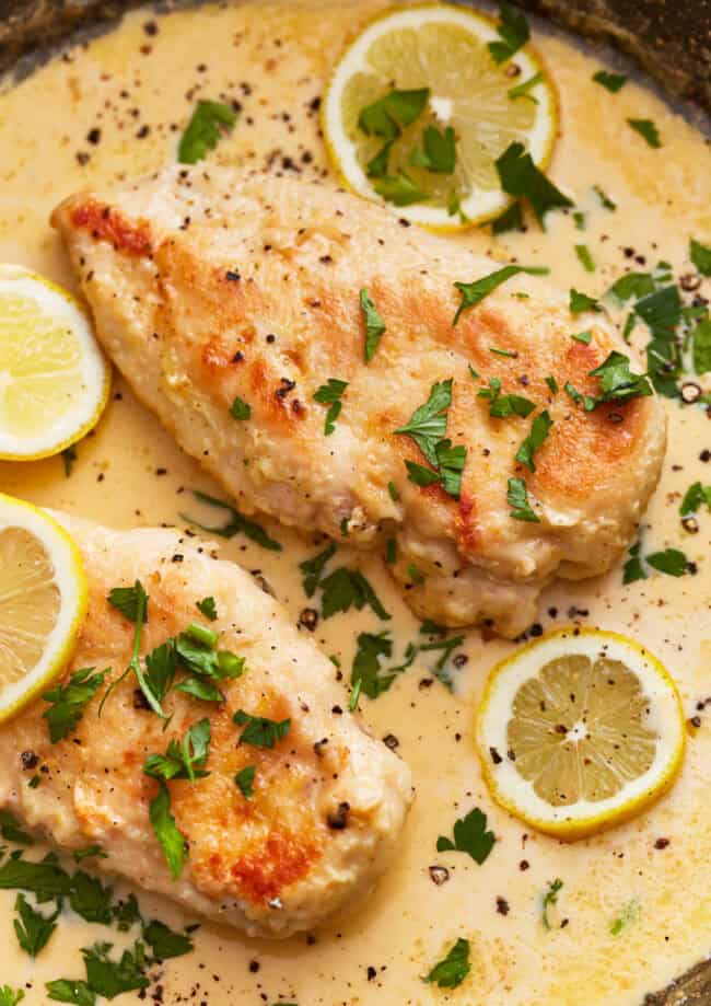 closeup view of creamy lemon chicken in a skillet with lemon slices and parsley.