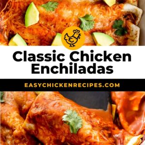 homemade chicken enchiladas pinterest