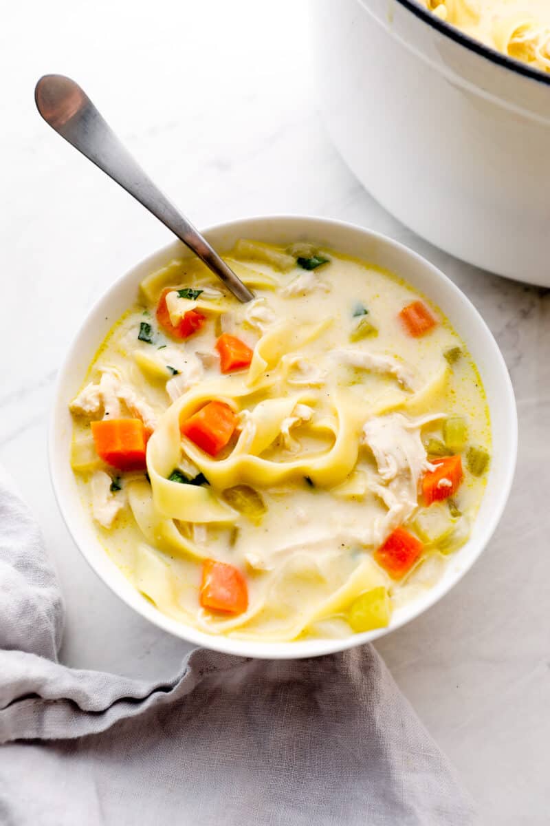 bowl of creamy chicken noodle soup