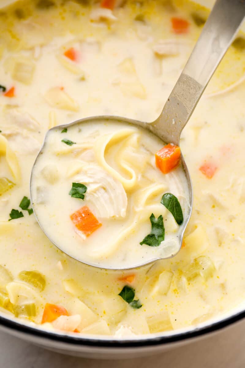 ladle lifting up creamy chicken noodle soup