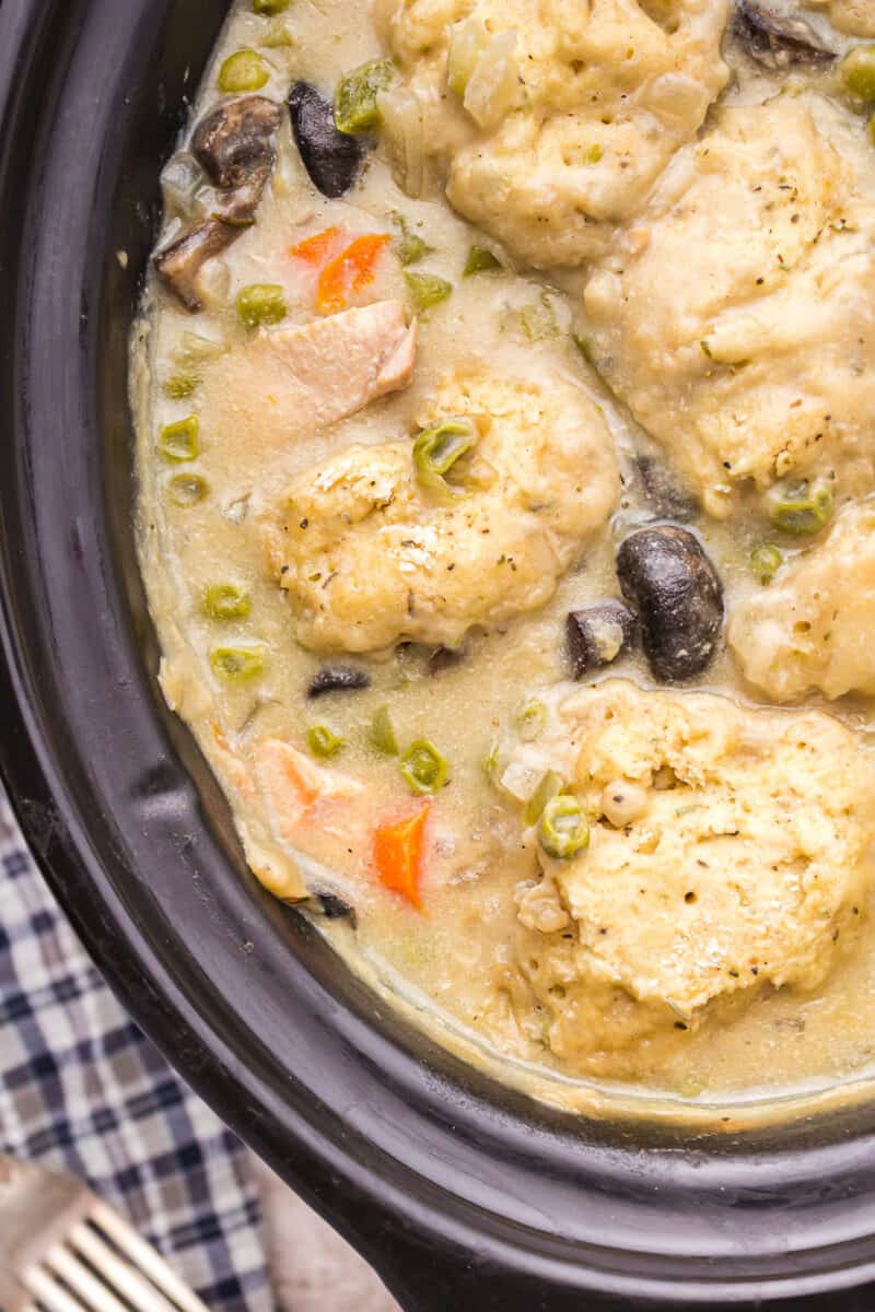 up close image of chicken and dumplings made in slow cooker